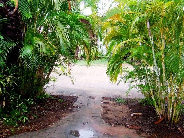 Additional image 11 of 4/13 Undoolya Street, Tiwi NT 0810