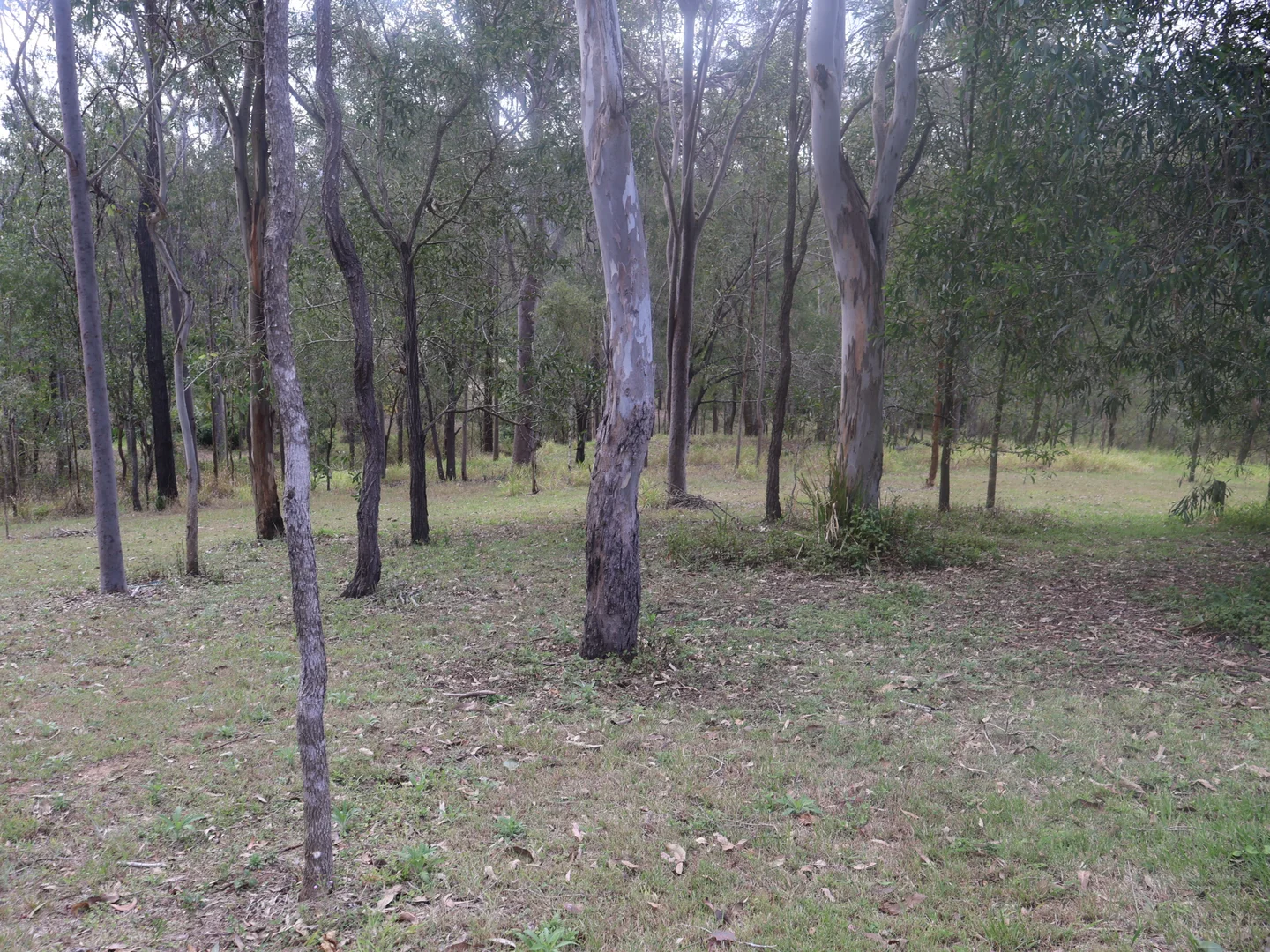 Additional image 8 of 140-146 Stephens Place, Kooralbyn QLD 4285