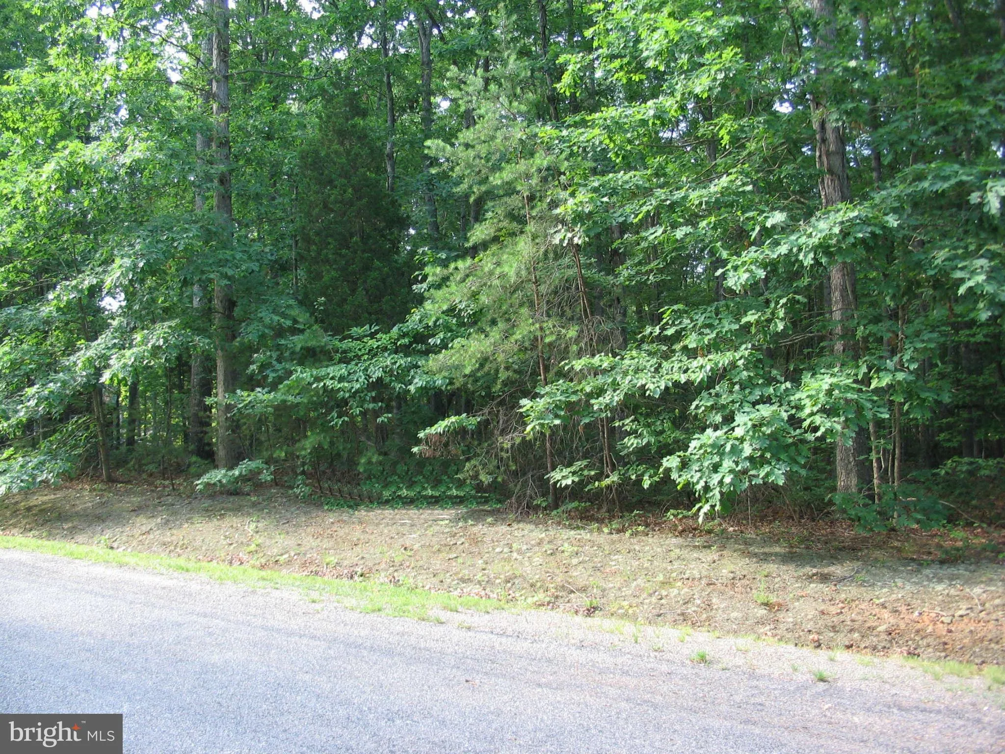 Toby's Run, Mineral, VA 23117 photo 2