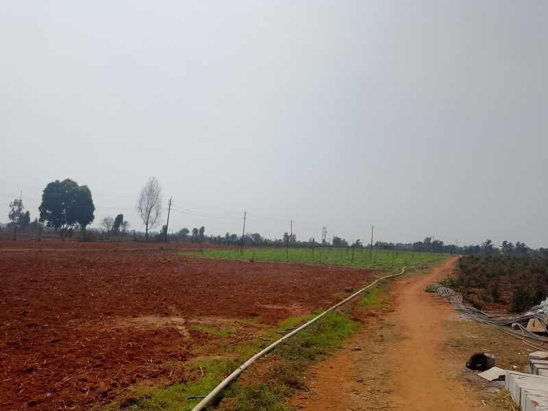 Additional image 2 of Devanahalli, Bangalore