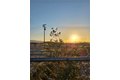 Additional image 25 of 80918 Brown Rd, Twentynine Palms, CA, 92277