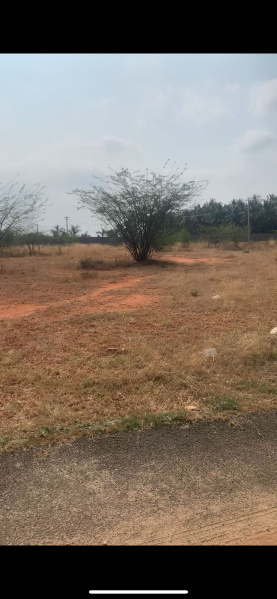 Additional image 3 of Kalapatti, Coimbatore
