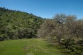 Additional image 28 of 2935 Sorrel Ln, Paso Robles, CA, 93446