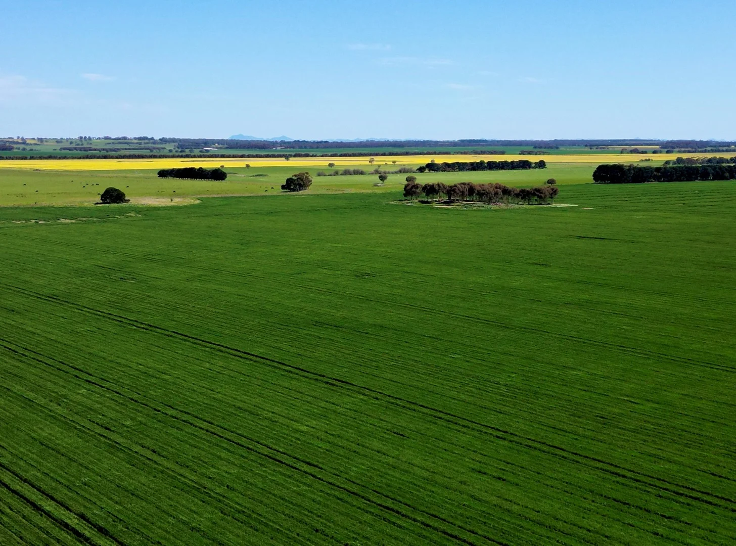 Woorndoo-Darlington Road, Woorndoo VIC 3272