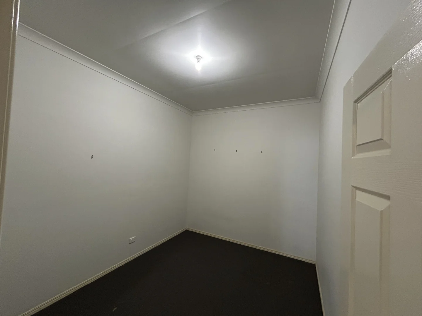 Additional image 19 of 172 C J Lindsay Road, Wamuran QLD 4512