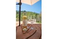 Additional image 47 of 2935 Sorrel Ln, Paso Robles, CA, 93446