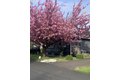 Additional image 17 of 5404 NE 121st Ave Unit 59, Vancouver, WA, 98682