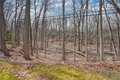 Additional image 42 of 43 Crystal Springs Ln, Fairport, NY, 14450