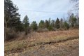 Additional image 3 of Dingman Hill Rd, Bainbridge, NY, 13733