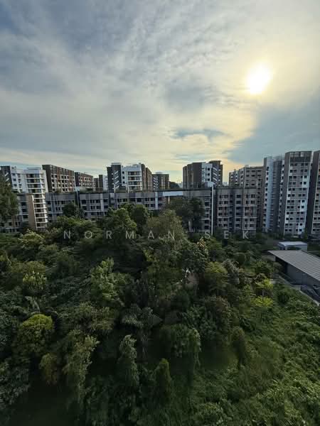 Additional image 4 of 212D Bidadari Park Drive