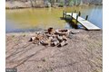 Additional image 10 of 8039 Stone Haven Dr, Glen Burnie, MD, 21060