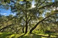 Additional image 13 of 15805 Uvas Rd, Morgan Hill, CA, 95037