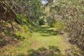 Additional image 26 of 15805 Uvas Rd, Morgan Hill, CA, 95037