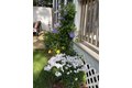 Additional image 41 of 9 Oliver Rd, Weymouth, MA, 02189