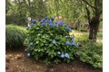 Additional image 39 of 57 Brierbrook St, Milton, MA, 02186