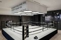 Additional image 50 of 1210 S Indiana Ave, Chicago, IL, 60605