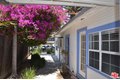 Additional image 2 of 3114 6th St, Santa Monica, CA, 90405