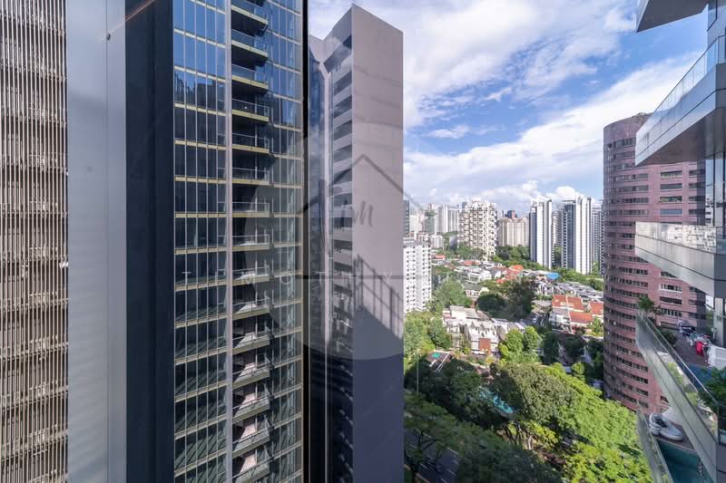 3 Orchard Boulevard photo 5