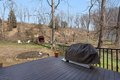 Additional image 23 of 1101 Washington Valley Rd, Bridgewater Twp, NJ, 07920