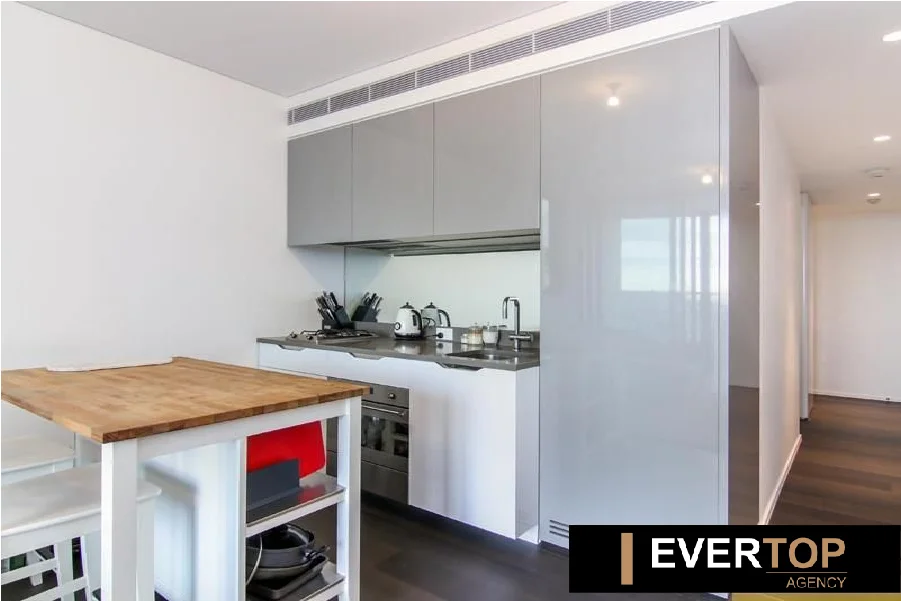 1620/18 Park Lane, Chippendale NSW 2008 photo 4