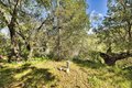 Additional image 10 of 15805 Uvas Rd, Morgan Hill, CA, 95037