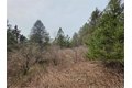 Additional image 10 of Dingman Hill Rd, Bainbridge, NY, 13733