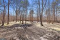 Additional image 83 of 11 Princeton Ave, Egg Harbor Township, NJ, 08234