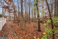 Additional image 37 of 305 Tuxford Ct, Pennington, NJ, 08534