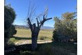 Additional image 6 of 40254 Reed Valley Rd, Aguanga, CA, 92536