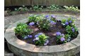Additional image 6 of 5602 Ogden Rd, Bethesda, MD, 20816