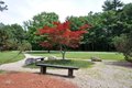 Additional image 32 of 559 Great Elm Way Unit 559, Acton, MA, 01718