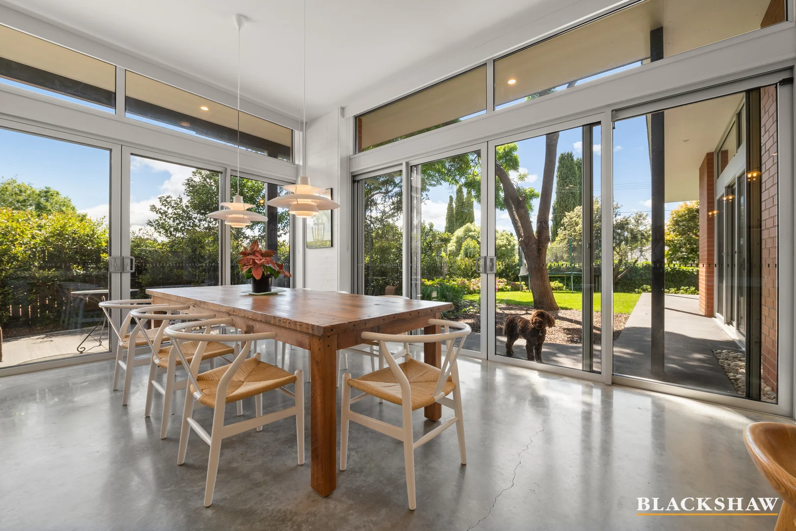 Additional image 4 of 34 Miller Street, O'Connor ACT 2602