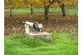 Additional image 4 of 10201 E Fairchild Rd, Stockton, CA, 95215