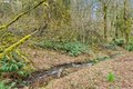 Additional image 38 of 7015 NE Ferris Rd, La Center, WA, 98629