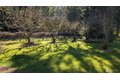 Additional image 33 of 16827 41st St E, Lake Tapps, WA, 98391