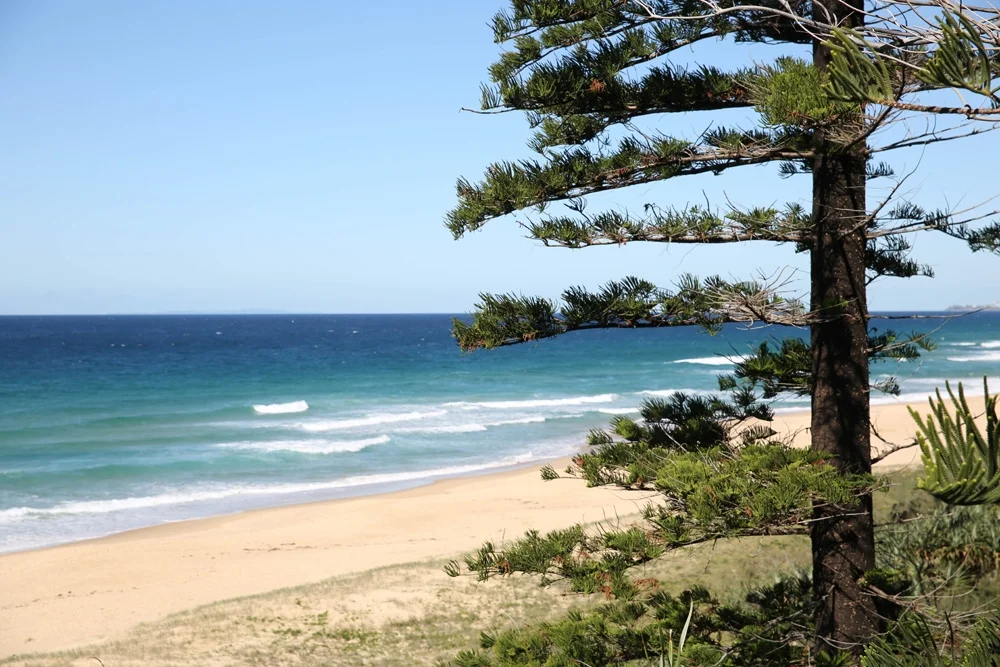 Additional image 15 of 3203/42 Lowanna Drive, Buddina QLD 4575
