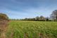 Additional image 8 of Barondole Lane, Topcroft, Bungay, Norfolk, NR35