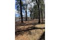 Additional image 3 of 139 Wellman Ave Unit 139, Chelmsford, MA, 01863