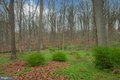 Additional image 20 of 13008 Dulaney Valley Rd, Glen Arm, MD, 21057