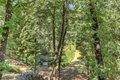 Additional image 89 of 13118 Cement Hill Rd, Nevada City, CA, 95959