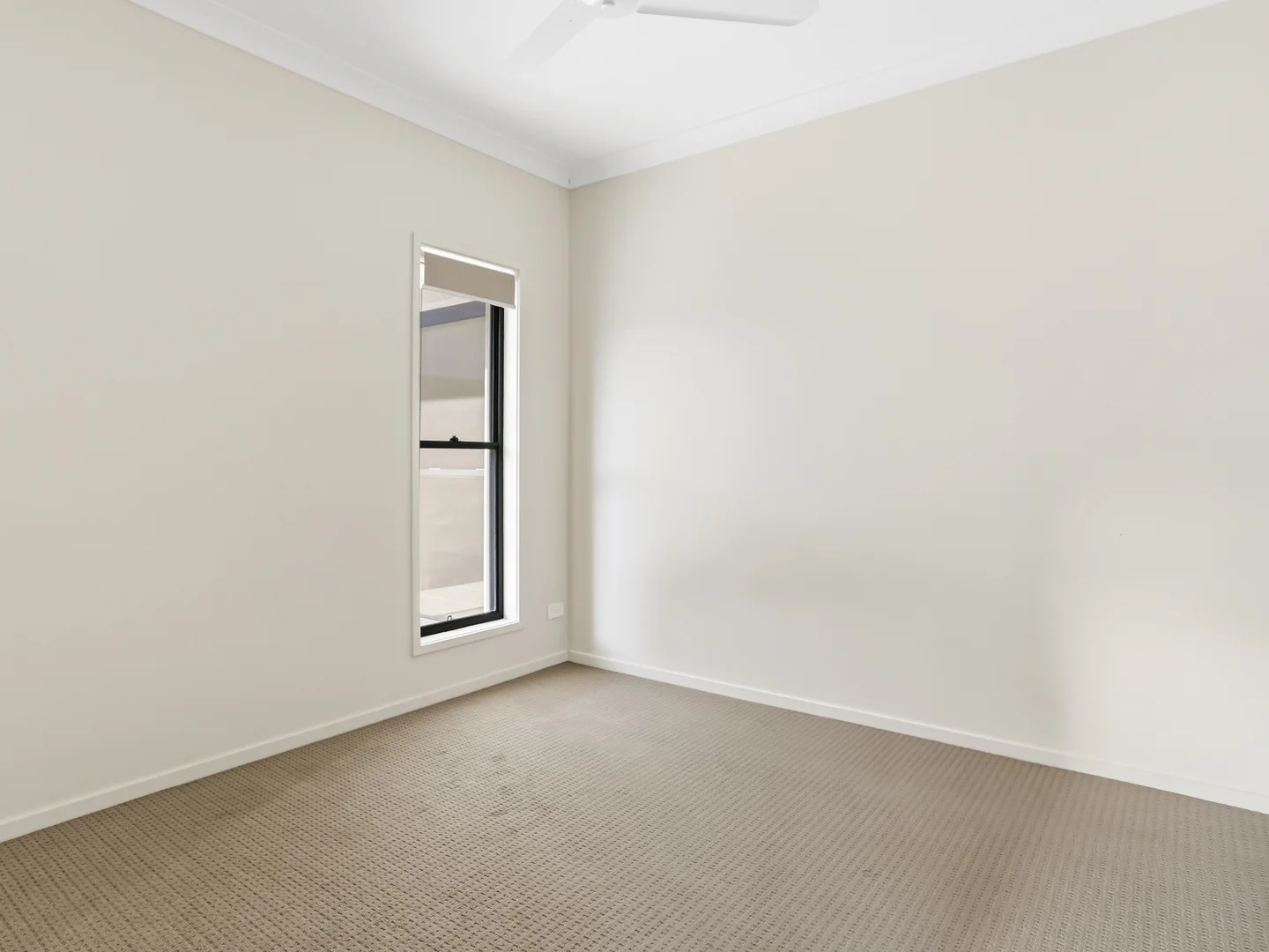 Additional image 8 of 29 Bloom Avenue, Coomera QLD 4209
