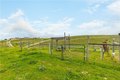 Additional image 59 of 3505 Landmark Pl, Paso Robles, CA, 93446