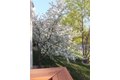 Additional image 34 of 510 Harlowe Ln, Naperville, IL, 60565