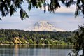 187 E Vineyard Crest Rd, Grapeview, WA, 98546 photo 2