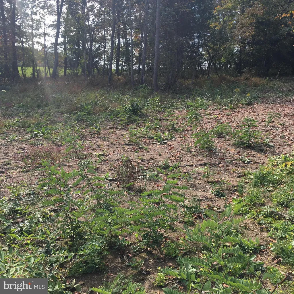 Fort Valley Road, Fort Valley, VA 22652