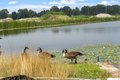 Additional image 28 of 4 Cypress Cir Unit 4, Bellingham, MA, 02019