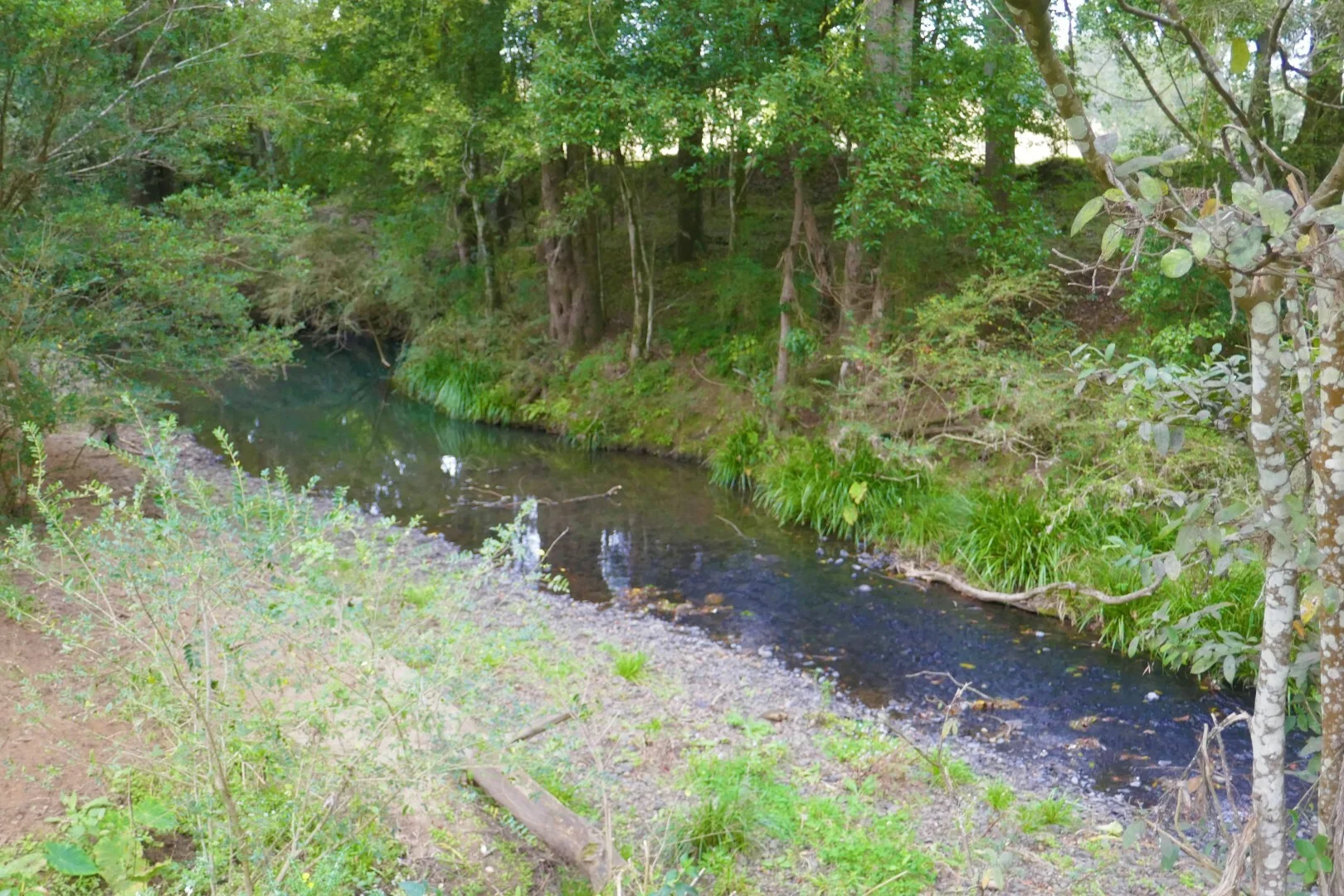 Additional image 4 of 35 Phelps Road, Kyogle NSW 2474