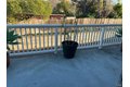 Additional image 7 of 329 E T St, Benicia, CA, 94510