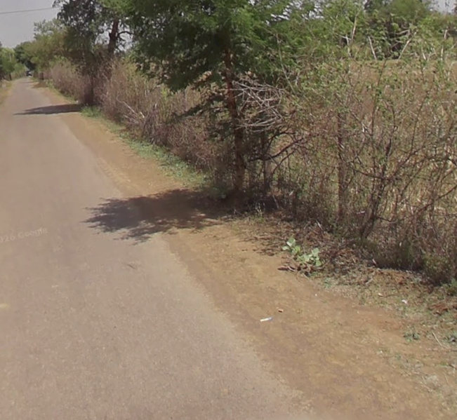 Additional image 3 of Tilda, Raipur
