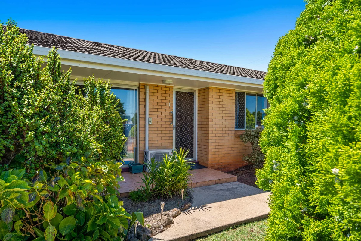 1 Stella Court, Wilsonton QLD 4350